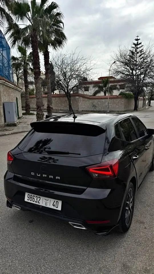 Seat Ibiza 2022
