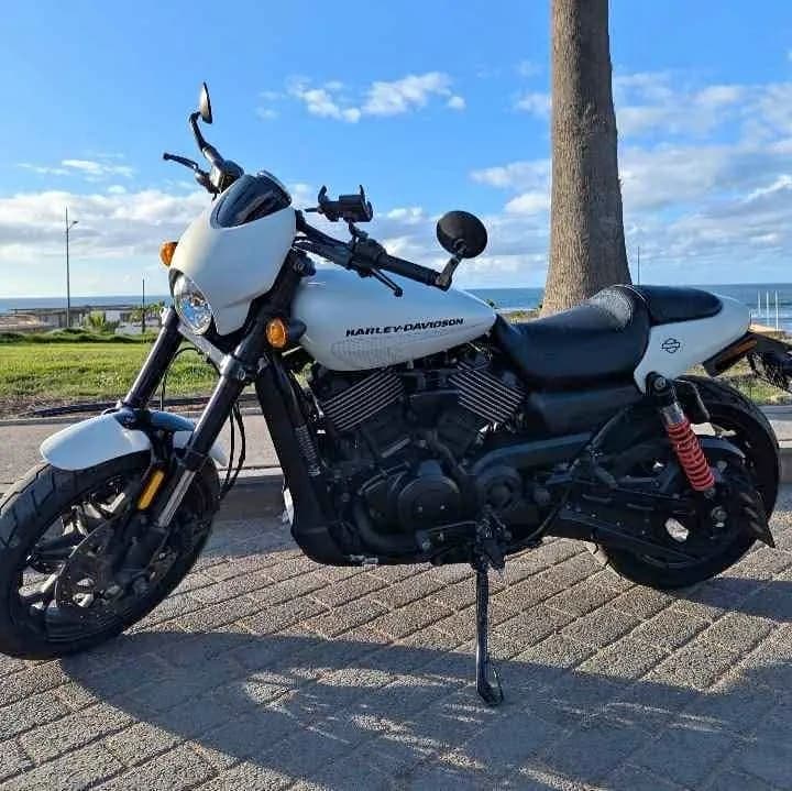 Harley Davidson Street Rod 750 2017